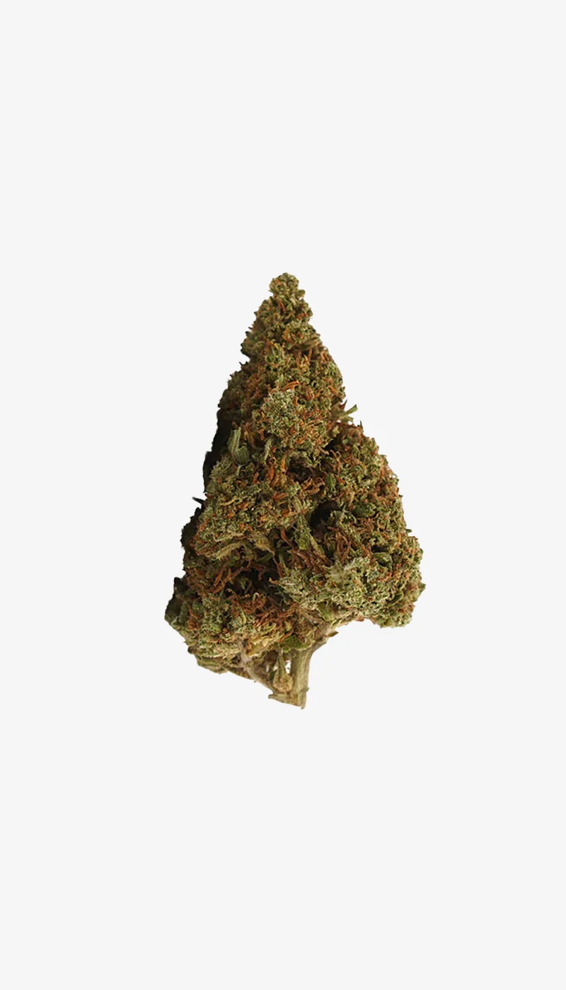 Orange Bud CBD Cogollos Pequeños