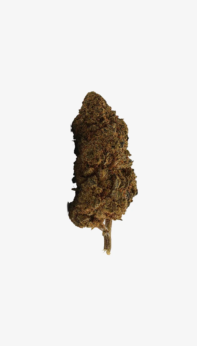 White Widow CBD Picos pequeños