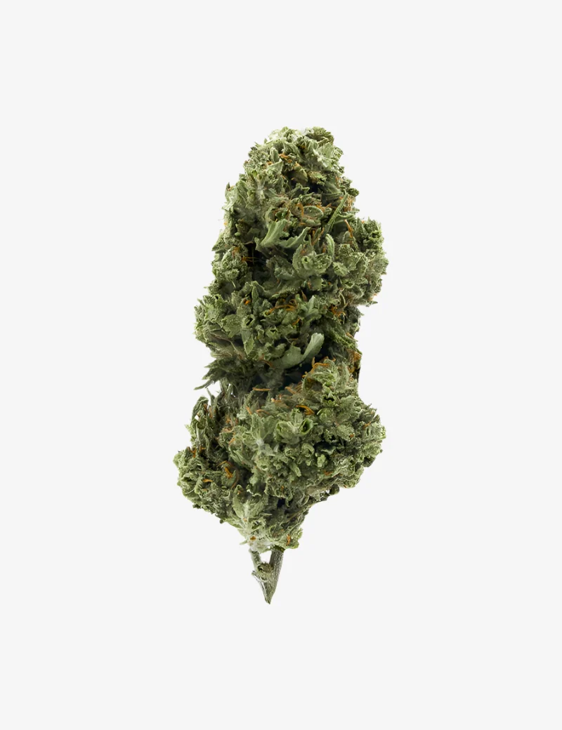 Super Skunk CBD