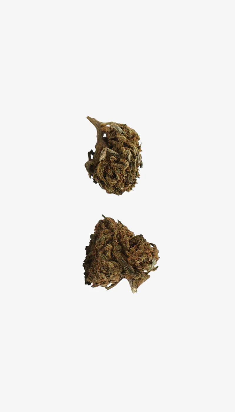 Hawaiian CBD Cogollos Pequeños