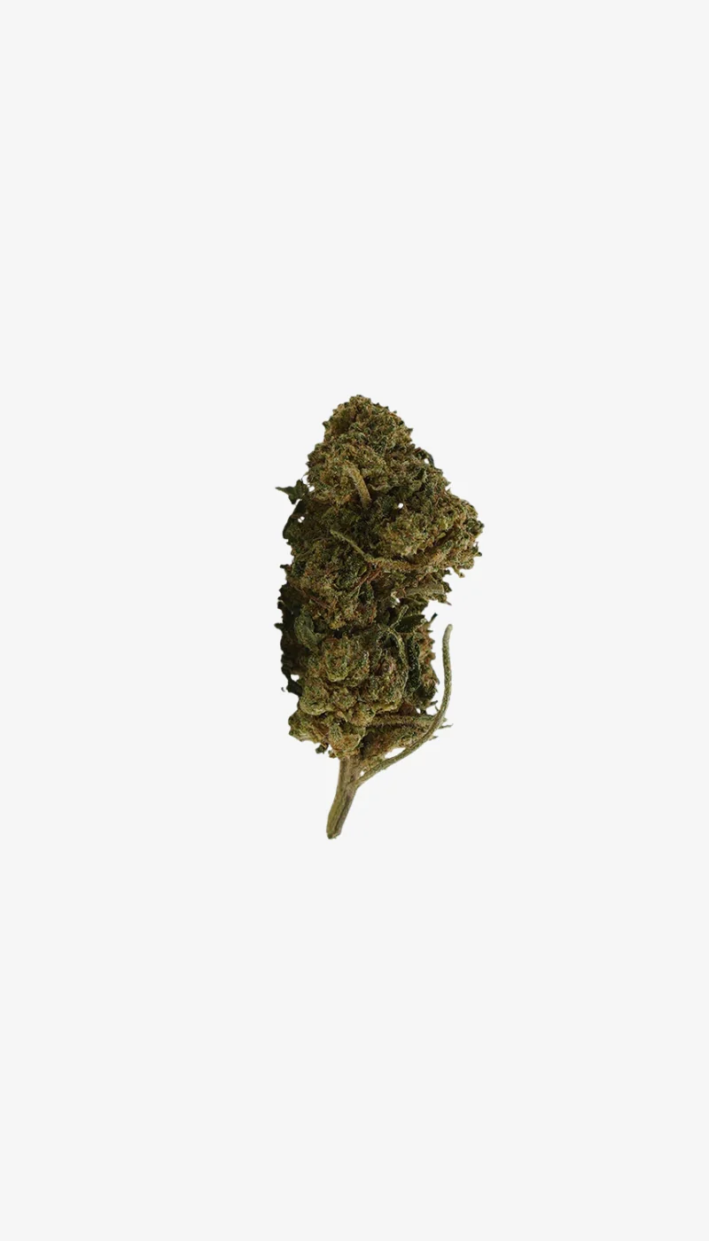 Cannatonic CBD