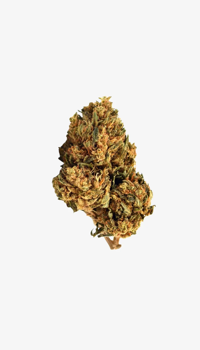 Piña Express CBD