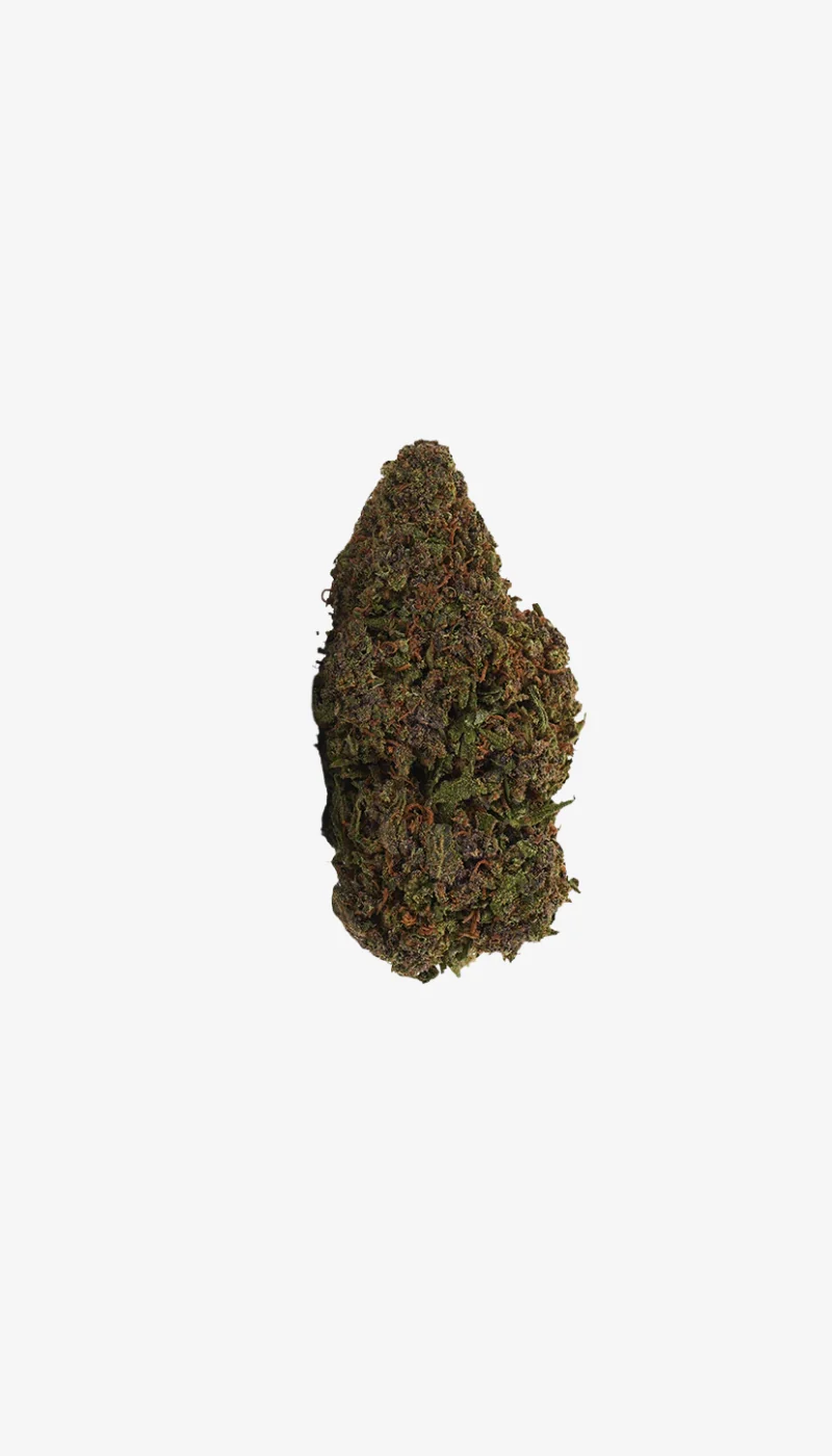Sour Diesel CBD