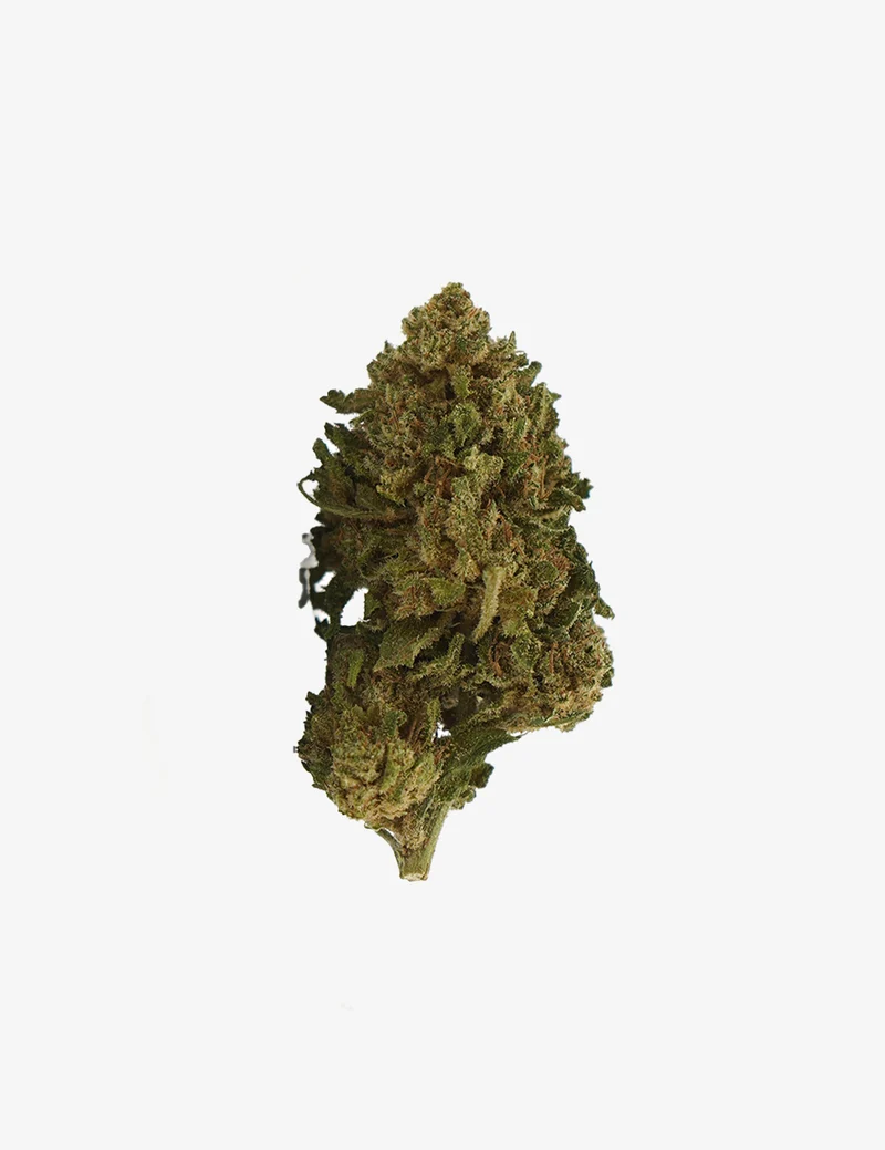 CBD Gelato