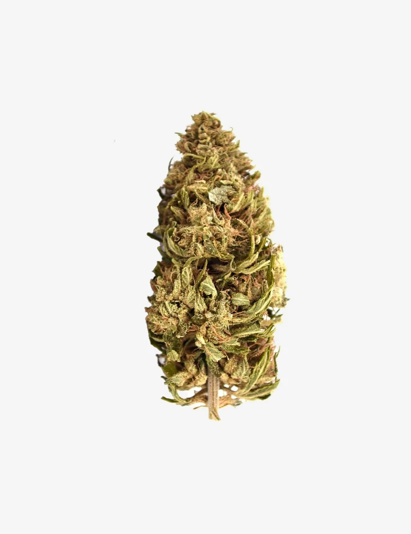 Plátano CBG