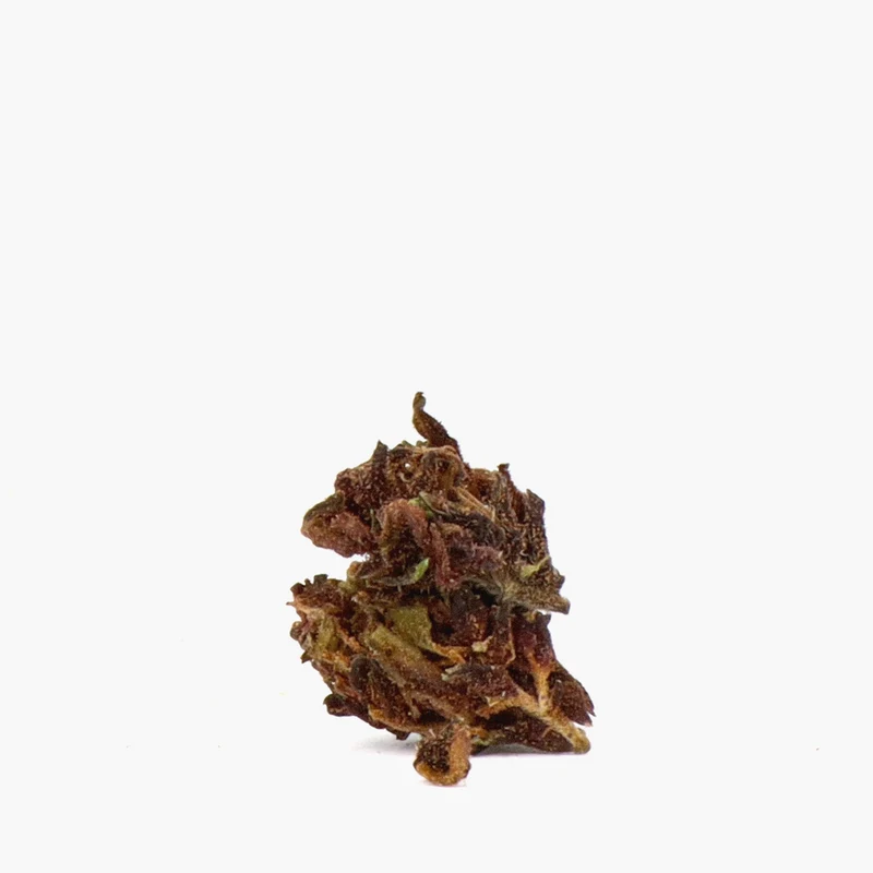 Palomitas de maíz especiales con CBD
