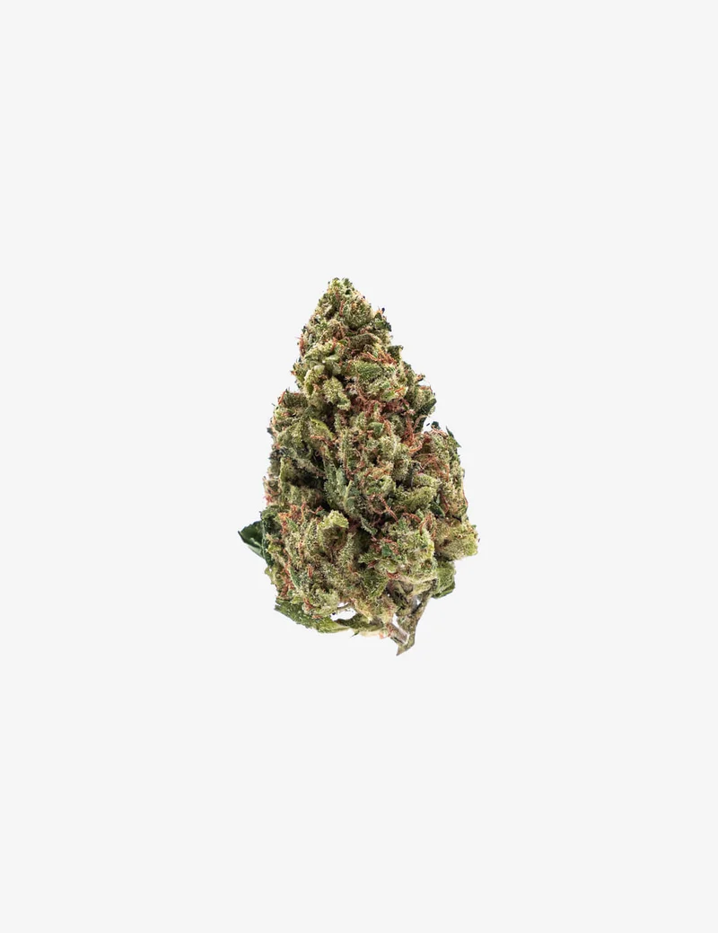 Royal Cheese CBD