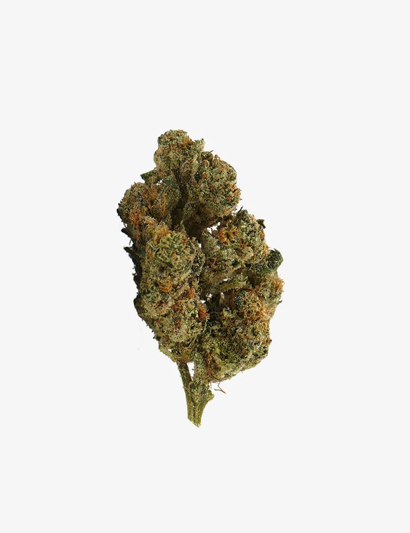 Plutonio CBD