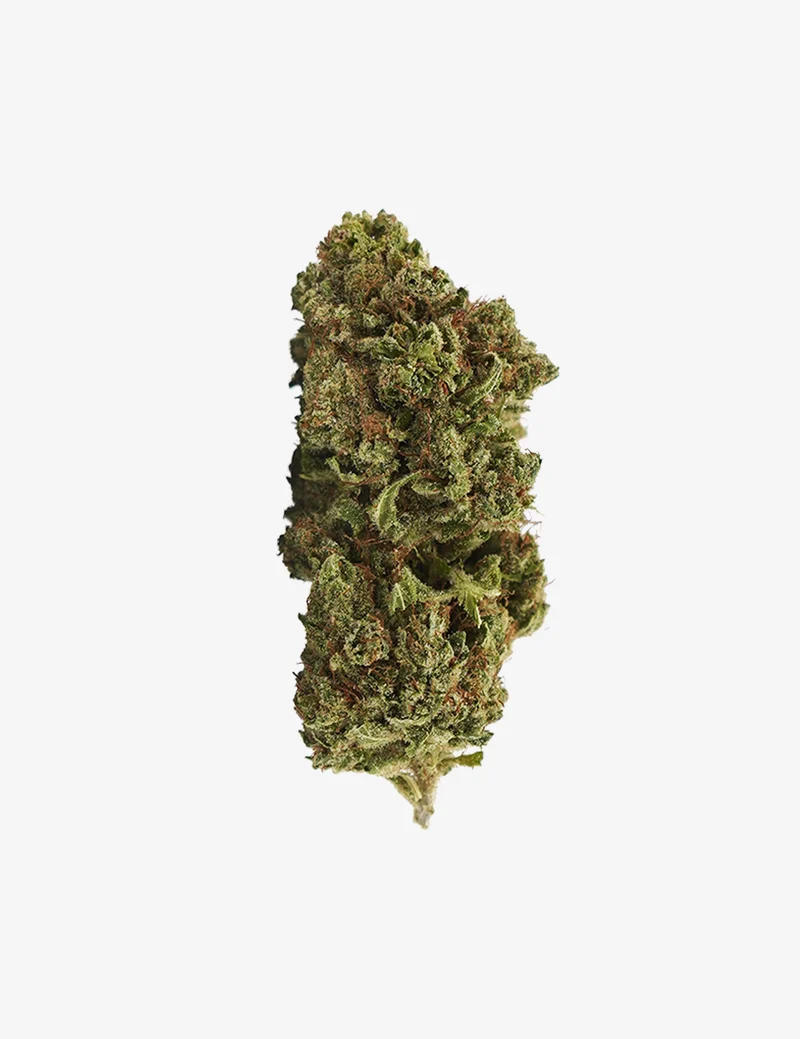 Mango Haze