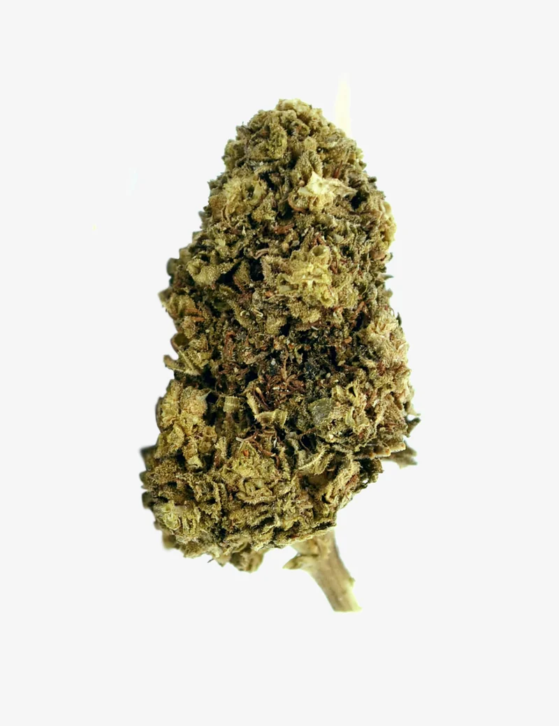 Aurora Boreal CBD