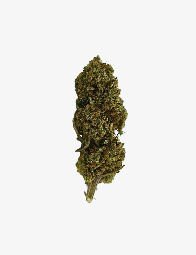 Bubba Kush CBD