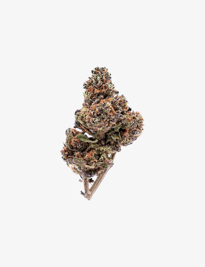 Purple Haze CBD: cogollos pequeños
