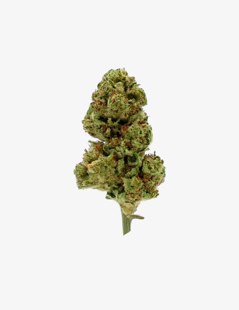 Limonero CBD