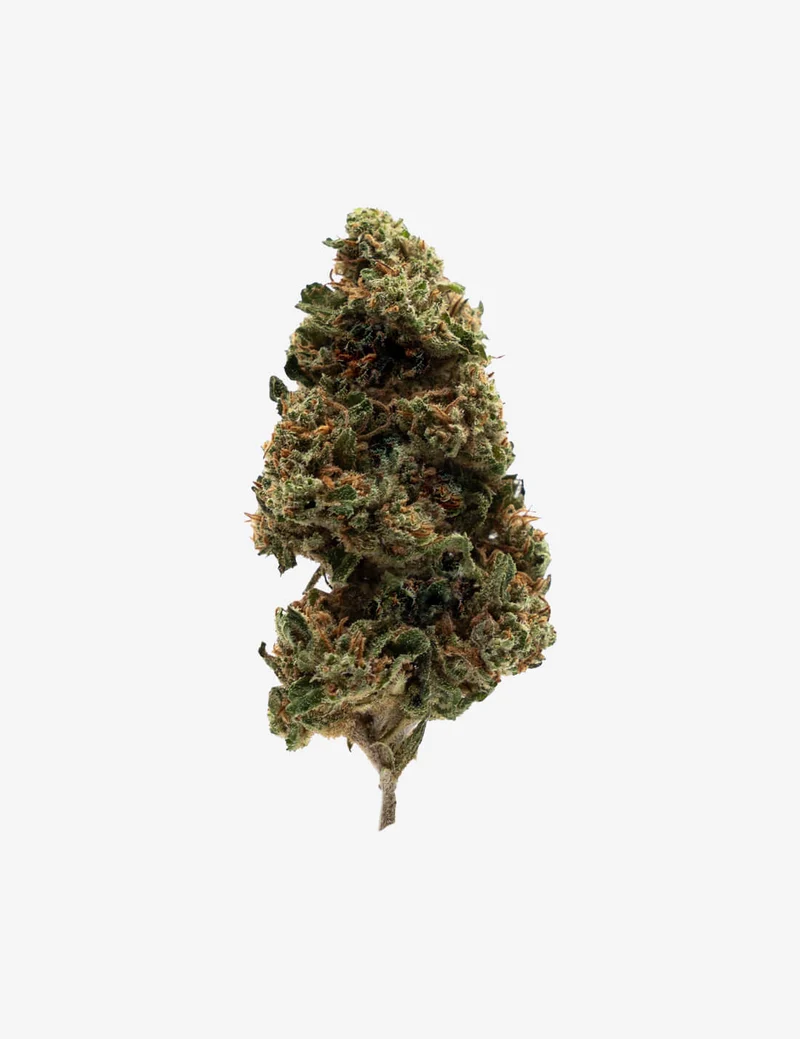 OG Zkittlez CBD