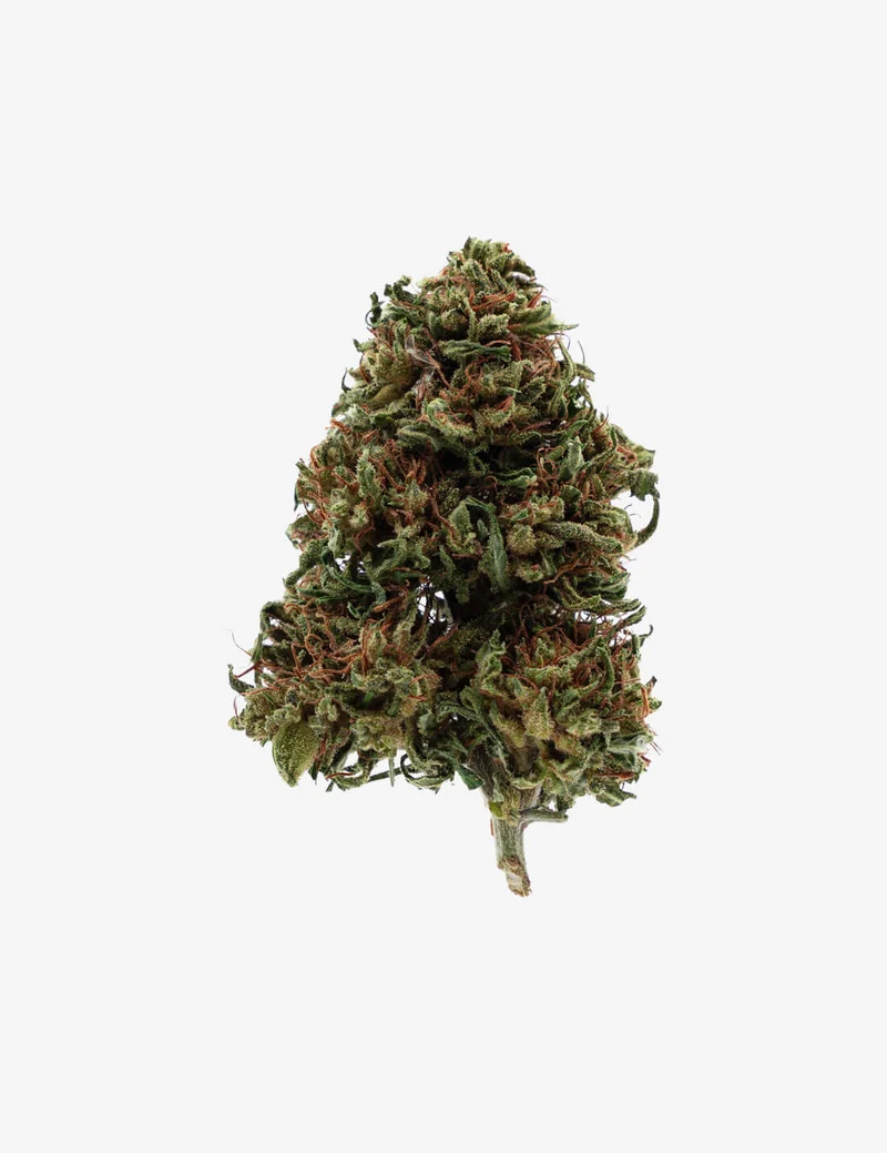 Veneno verde CBD