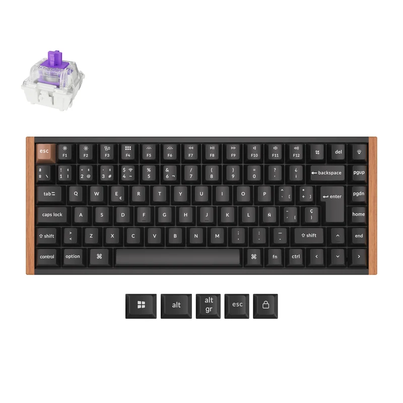 Teclado Personalizado Inalámbrico con interruptores Magnéticos Keychron K2 HE - Colección de Distribución ISO