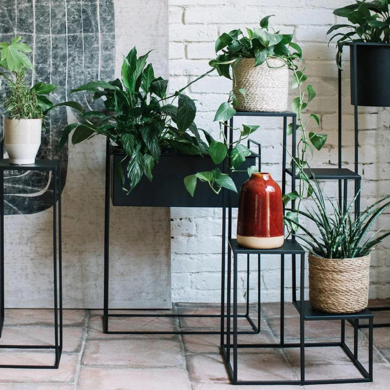 Soporte para plantas de metal negro