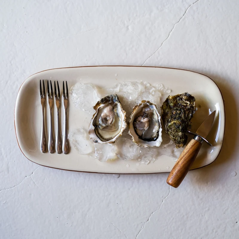 Set de 10 utensilios para marisco gourmet