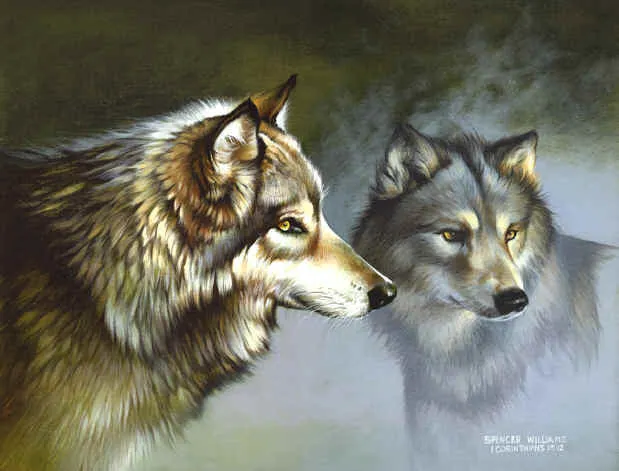 Keepers of the Wild