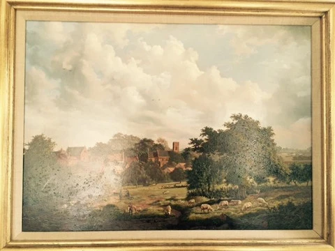 Sheep in a pasture