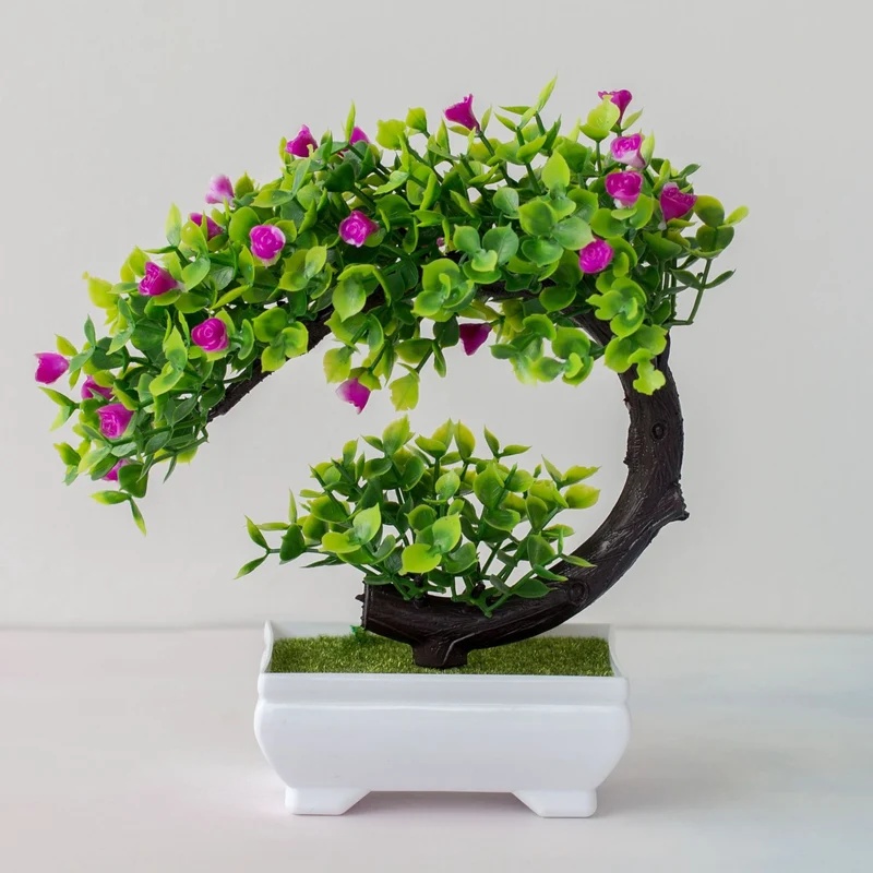 Planta Melaleuca