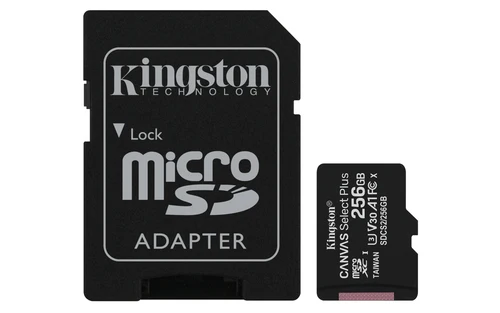 Kingston Micro256gb