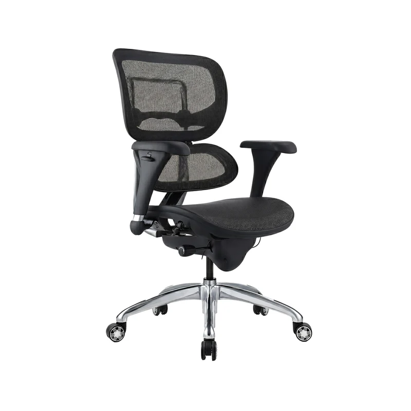 Silla de Oficina Gerente Ergohuman
