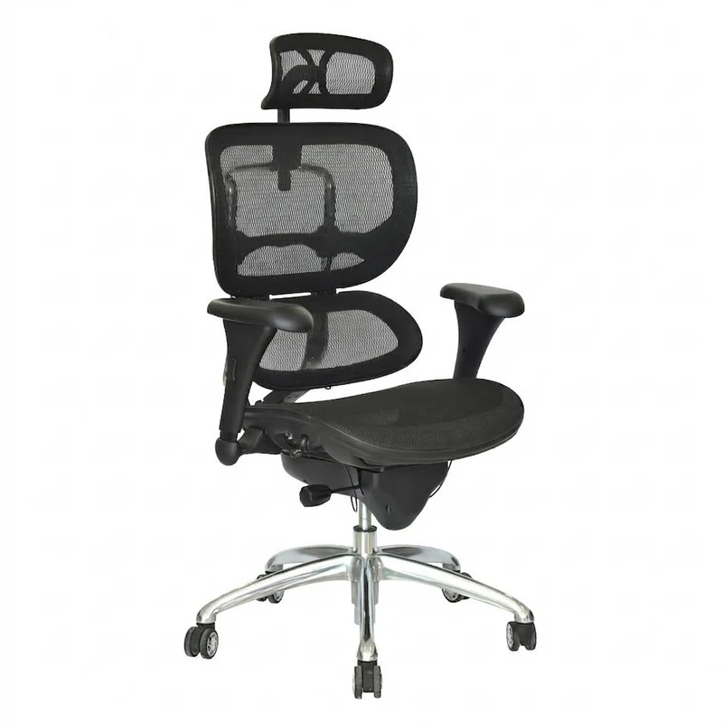 Silla de Oficina Presidente ErgoHuman Eco