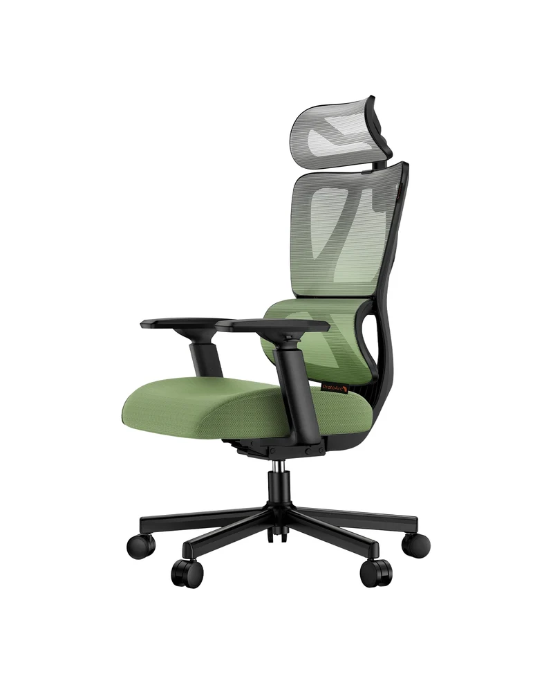 EC100 Ergonomic Office Chair